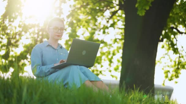Занятая привлекательная женщина работает за ноутбуком, сидя на траве в городском парке на закате - Кадры, видео