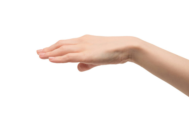 ženská ruka izolovaných na bílém pozadí.  - Fotografie, Obrázek