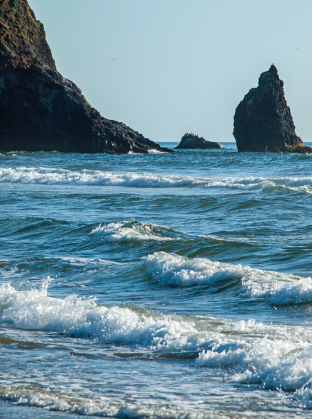 Λεπτομέρεια της Haystack βράχο στην παραλία κανόνι Όρεγκον ΗΠΑ - Φωτογραφία, εικόνα