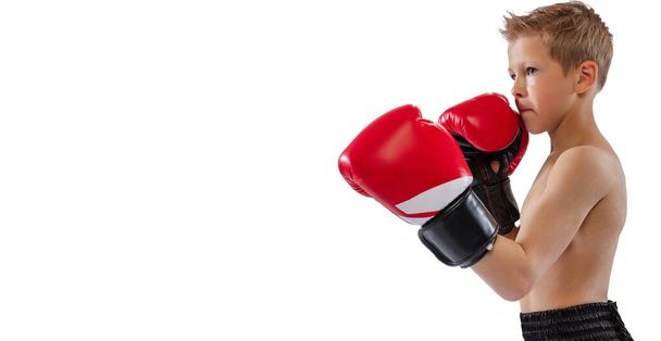 Closeup image of little male boxer in red boxing gloves posing isolated on white studio background. Concept of sport, movement, studying, achievements - Photo, image