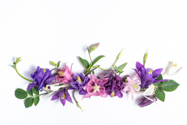 Festive floral background. floral layout of pink and violet flowers of aquilegia on a white background. Top view, flat lay. Flowers border and copy space.  - Photo, Image