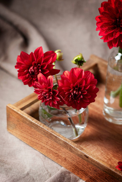 Red amazing flowers dahlias on the wooden tray, selective focus image - Foto, afbeelding