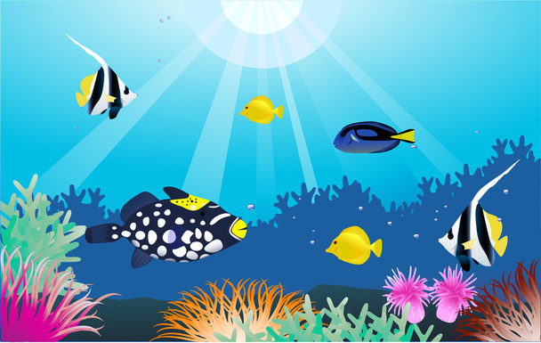 Sea life illustration - Vector, Image