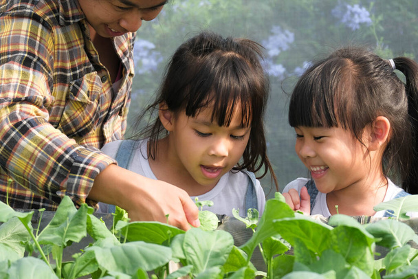 Молодая мать в соломенной шляпе учит своих дочерей на заднем дворе сада. Маленькая девочка помогает своей матери в саду, маленький садовник. Милая девушка сажает овощи в саду. - Фото, изображение