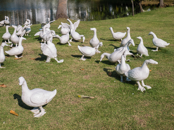Група білої статуї качки
 - Фото, зображення