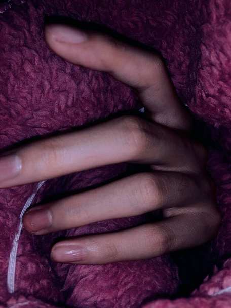 close up of a woman's hands holding a purple scarf - Foto, Bild