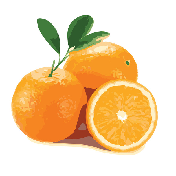 Pomeranč - Vektor, obrázek