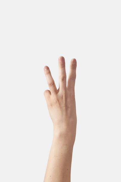 Číselný počet na prstech, vnější ženská ruka ve svislé poloze s šestou, šestou, šestou, W v prstové abecedě izolované na bílém pozadí. Americký znakový jazyk. Koncept počítání prstů. - Fotografie, Obrázek