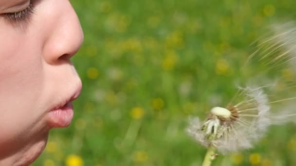 Teen Girl child holds and blows on a dandelion. Happy childhood concept. Playing outdoors. Slow motion summer video. - Footage, Video