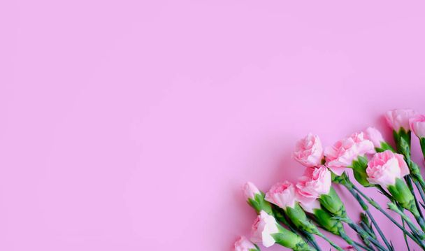 Flowers composition. Pink flowers on soft pink background. Spring, summer concept. Flat lay, top view, copy space - Photo, Image