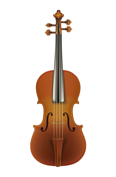 classic violin isolated on a white - Vector, Image