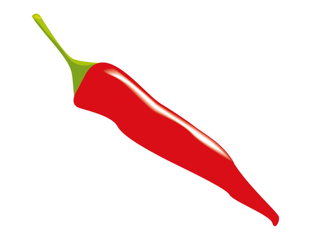 verse chili peper groente - Vector, afbeelding