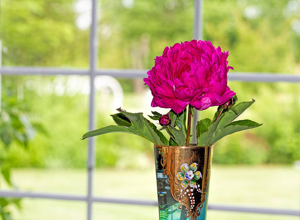 Gros plan d'une belle fleur de pivoine Fuchsia dans un verre vénitien antique assis sur la table avec une vue sur l'extérieur à travers une fenêtre à carreaux blancs. - Photo, image