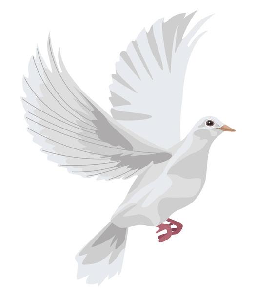 colombe blanche volant - Vecteur, image