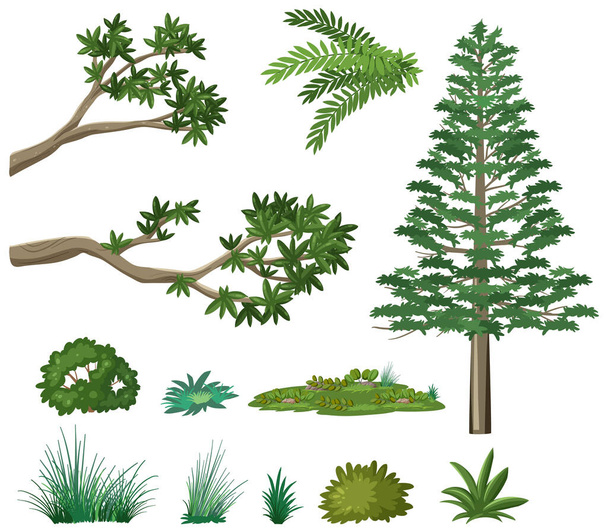 Набор элементов природного леса - Вектор,изображение