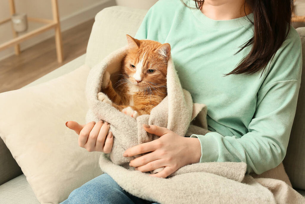 Junge Frau mit süßer Katze sitzt zu Hause auf Sofa, Nahaufnahme - Foto, Bild