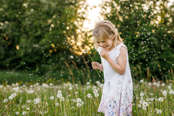 Urocza dziewczynka z przedszkola dmuchająca na kwiat mniszka lekarskiego na łonie natury latem. Szczęśliwy zdrowy piękny maluch dziecko z blowball, zabawy. Jasne światło zachodu słońca, aktywne dziecko. - Zdjęcie, obraz