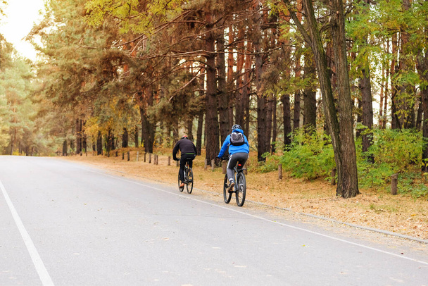 Fietser in beschermende. Rijden op de fiets in naaldhout bos op zonnige dag tussen vele bomen. Gezonde levensstijl. Sport en actief leven concept.  - Foto, afbeelding