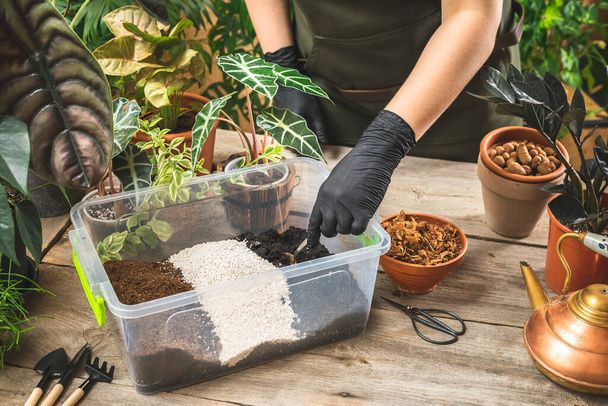 Plant store worker wering black gloves mixing the soil mix ingredients in the plastic container. Home gardening concept. Cultivation and care for the indoor potted plants. - Foto, Bild