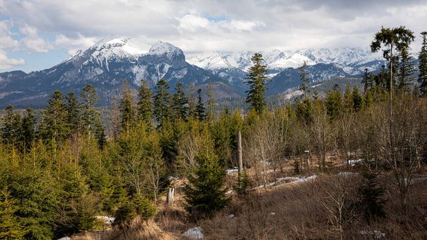 Landschaft in der polnischen Tatra. Blick auf die schneebedeckten Gipfel im April. - Foto, Bild