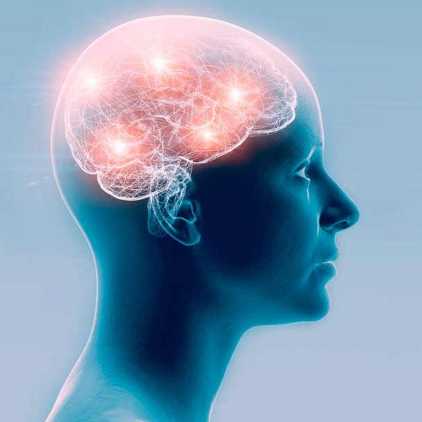 Synapsiyhteydet. Rakenne, jonka avulla neuroni voi välittää sähköistä tai kemiallista signaalia toiselle neuronille tai kohdekudokseen. Hermosto. Aivoja. Sivunäkymä, kasvot, pää - Valokuva, kuva