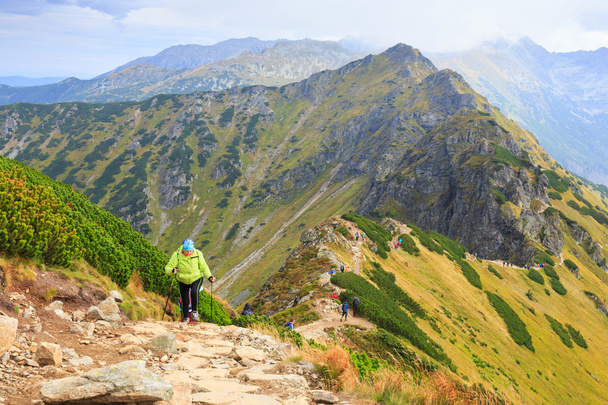 Zakopane, PUOLA - 13. syyskuuta: Ryhmä turisteja kävelee Kasprowy Wierchin huipulle Tatra-vuorilla 13. syyskuuta 2014 Tatra-vuorilla Puolassa
.  - Valokuva, kuva