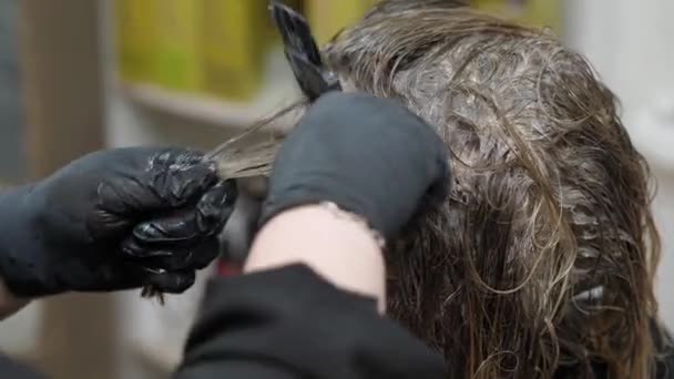 Színező haj fésülése - Felvétel, videó