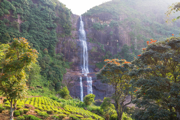 Schöner Wasserfall auf Sri Lanka - Foto, Bild