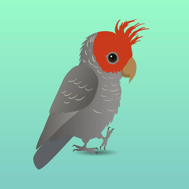 A vector illustration of a cute Gang gang  cockatoo. He is holding one paw up. He looks very cute. Bright green gradient background. Its a male bird, because his crest and head are red. - Vector, Image