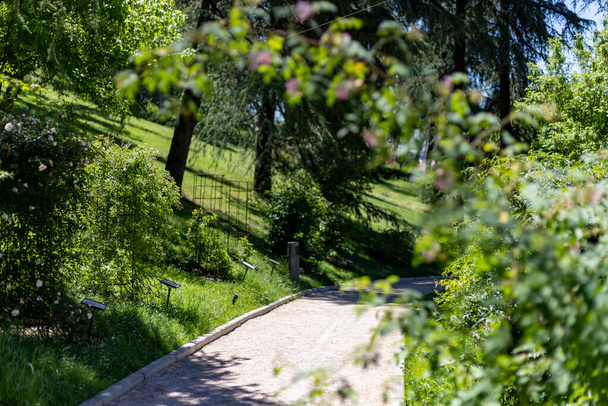 Ścieżka. Brudna droga obok roślinności zielonych roślin i drzew na wiosnę w parku Madrytu w jasny dzień i z niebieskim niebem, w Hiszpanii. W Europie. Fotografia. - Zdjęcie, obraz
