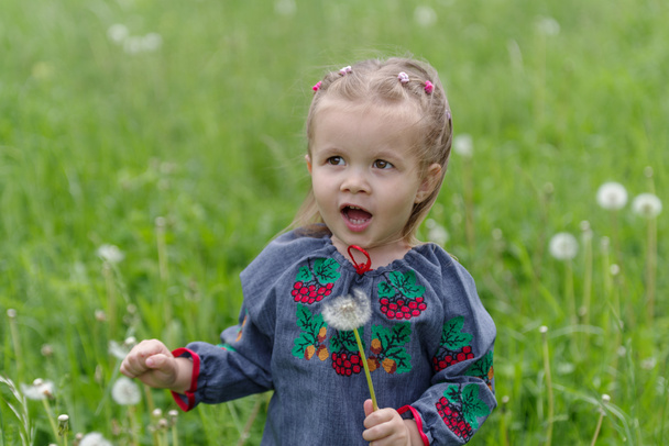 2 yaşında Kafkasyalı bir kız karahindiba topluyor. - Fotoğraf, Görsel