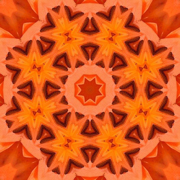 Concentric Flower Center Macro Close-up. Mandala Kaleidoscopic design - Fotó, kép