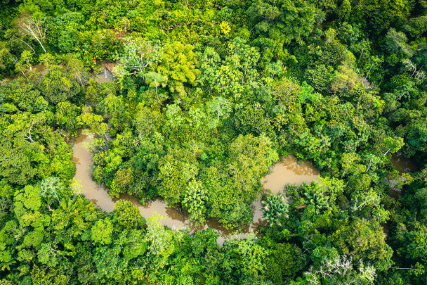 Amazon Rainforest Aerial View. Tropická zelená džungle v Peru, Jižní Amerika. Pohled z ptačího pohledu. - Fotografie, Obrázek