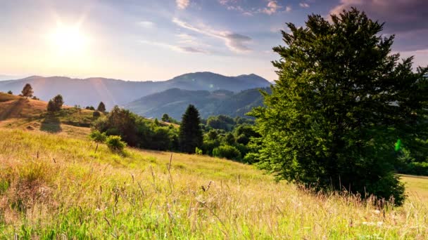 Wonderful Forest and grassy meadow at sunset. The golden sun touches the horizon, the end of the day. Hills and meadows with mixed forests in sunlight. Country rest on the Synevyr Pass, Carpathians - Imágenes, Vídeo