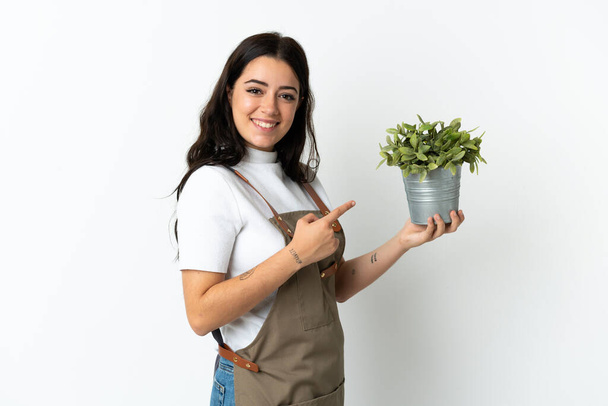 Jeune femme caucasienne tenant une plante isolée sur fond blanc et la pointant - Photo, image