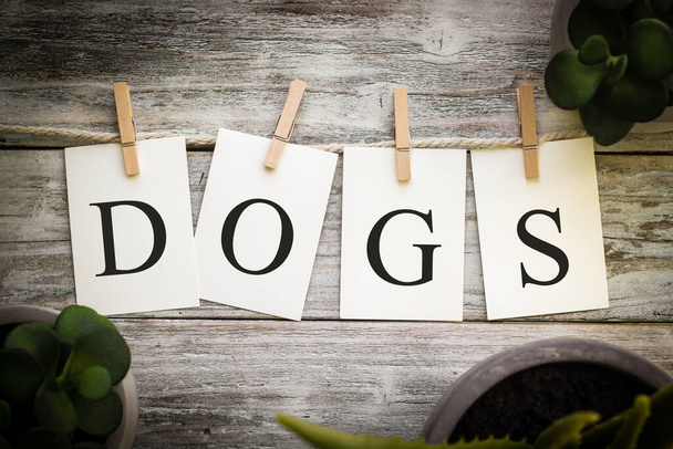 A set of printed cards spelling the word DOGS on an aged wooden background. - Photo, Image