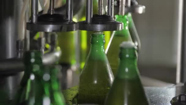 Productie en botteling van dranken koolzuurhoudend bier in glazen flessen op automatische transportband op industriële installaties. Concept van de levensmiddelenindustrie. Productie van gebottelde dranken. - Video