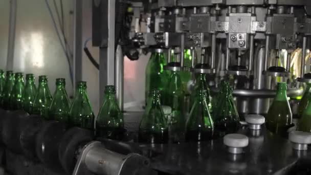 Transparante glazen flessen bewegen op de transportband. Gevuld met bier en verder gaan. Automatisering van de bierproductie. - Video