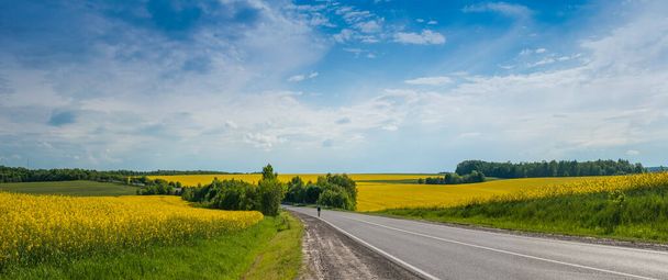 panoráma az úton, gyönyörű kilátás a sárga és zöld mezők és a kék ég - Fotó, kép
