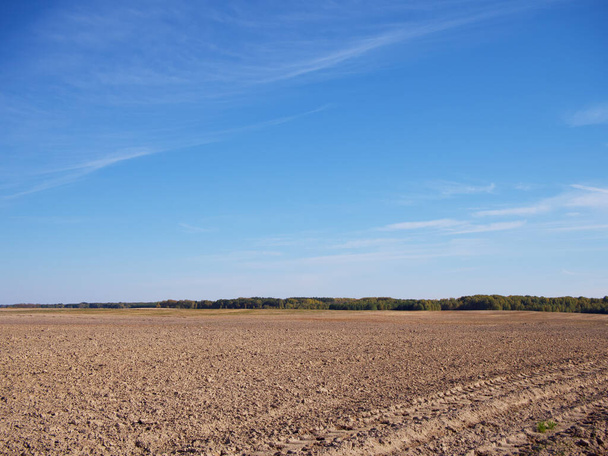 Clear blue sky over a cultivated field. Landscape. - 写真・画像