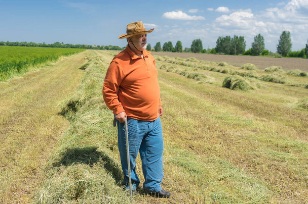 Full body portrait of bearded Caucasian senior farmer standing agricultural field in central Ukraine and looking forward - Foto, immagini