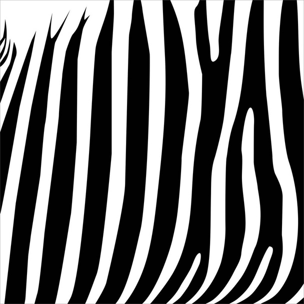 Zebra Motifs Pattern. Animal-Print Series. Vector Illustration - Вектор, зображення