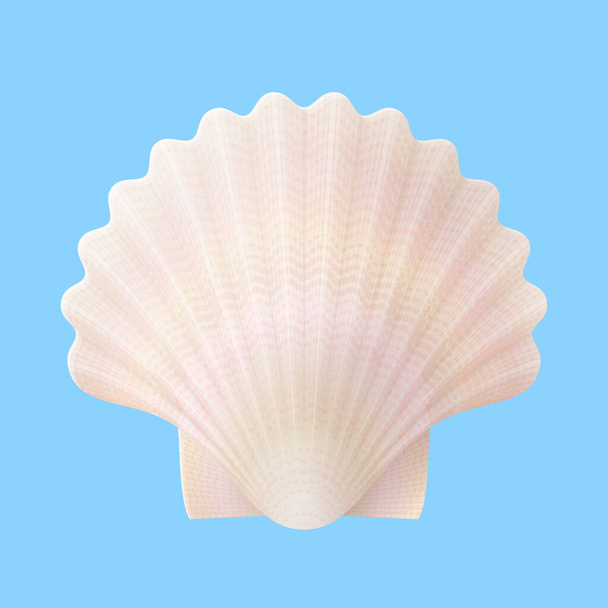 Seashell isolated on blue background. Nacreous scallops shell, top view. Vector illustration for travel concept, seafood, southern nature, seaside resort, beach, etc - Vector, Image