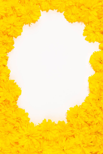 Cornice isolata e bordo di fiori primaverili giallo brillante primo piano. Fiori gialli fioriti estivi e primaverili. Carta floreale brillante. Giardinaggio, botanica, struttura e concetto di flora - bellissimi fiori. - Foto, immagini