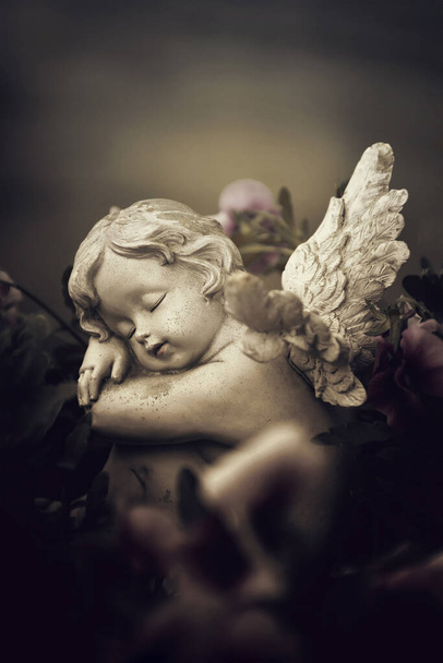 Ангел-хранитель и цветы - Фото, изображение