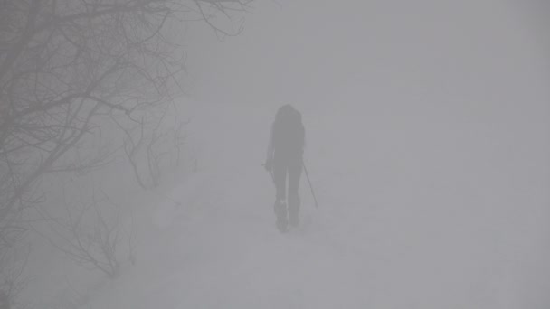 γυναίκα περπατά σε χιονισμένο βουνό στην ομίχλη και τον άνεμο - Πλάνα, βίντεο