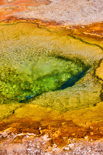 Imagen de Aguas verdes del manantial de Yellowstone - Foto, imagen