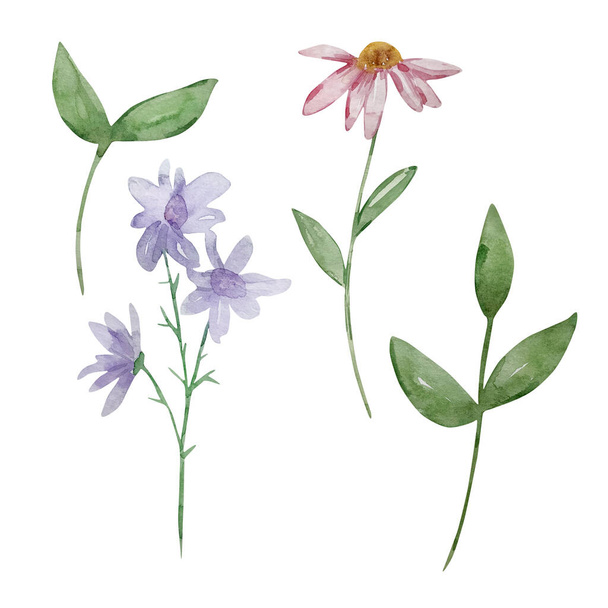 Kerti virágok és zöld levelek akvarell készlete - Fotó, kép