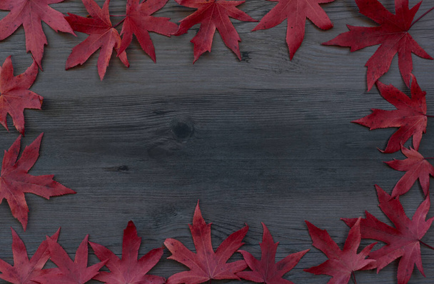 Autumn wooden background. A perfect rustic and grunge wallpaper for your products.  - Fotoğraf, Görsel