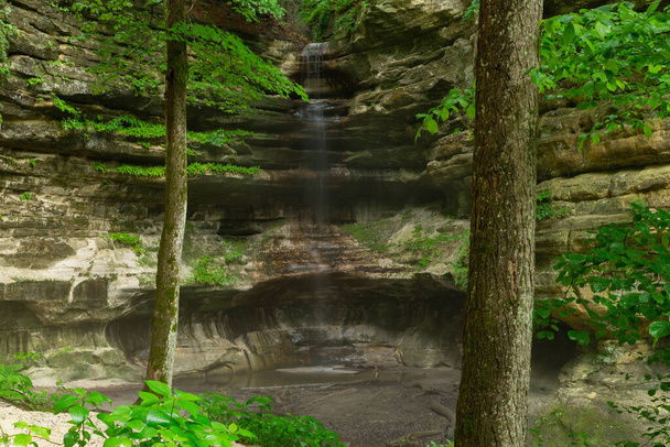 Canyon walls and landscape in St. Louis Canyon on a rainy Spring morning.  Starved Rock State Park, Illinois, USA. - Foto, afbeelding